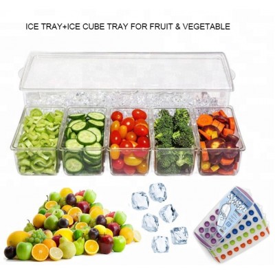 Ice Tray for Fruit & Vegetable